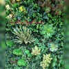 دیوار سبز مصنوعی برای بچه ها